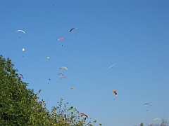 Nuée de parapentes 03